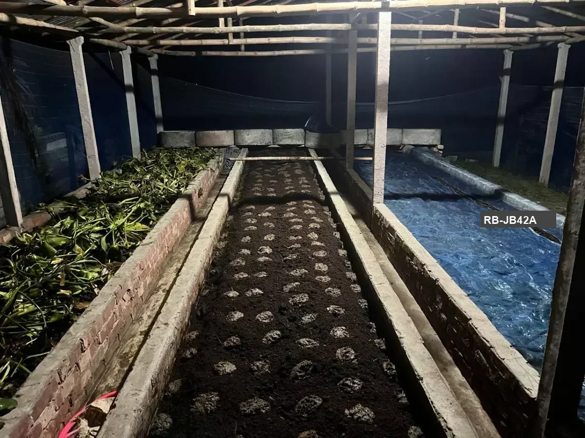 ভার্মি কম্পোস্ট - Vermi Compost | Earthworm Fertilizer | Organic Plant Fertilizer