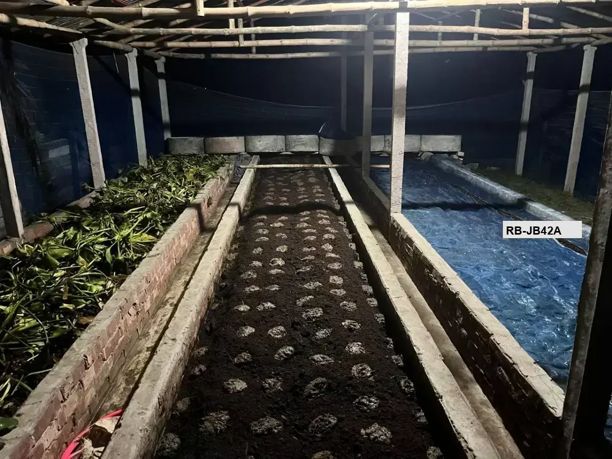 ভার্মি কম্পোস্ট - Vermi Compost | Earthworm Fertilizer | Organic Plant Fertilizer