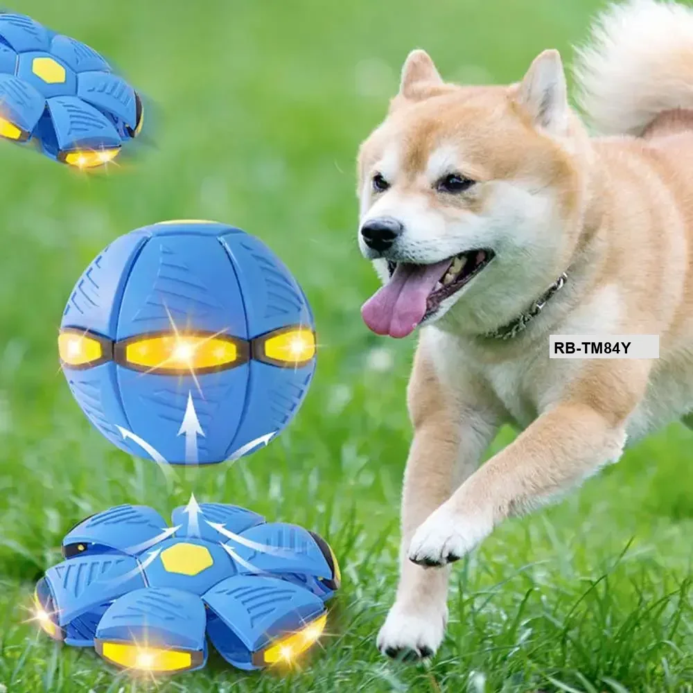 UFO Flying Ball - Indoor and Outdoor Playing for Kids