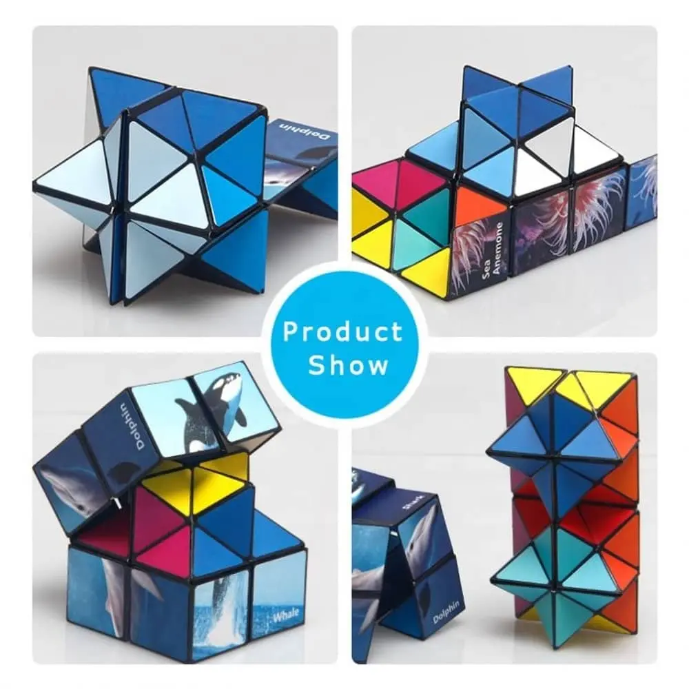 Marine Cube Puzzle