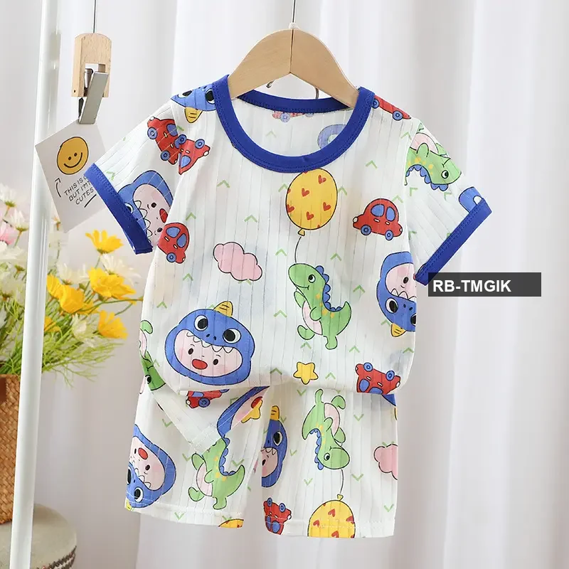 Roam Style Baby Summer T-Shirt Set - Dino Car